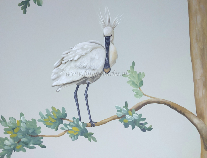 lepelaar grote witte vogel op muur lepelaar vogel op muur