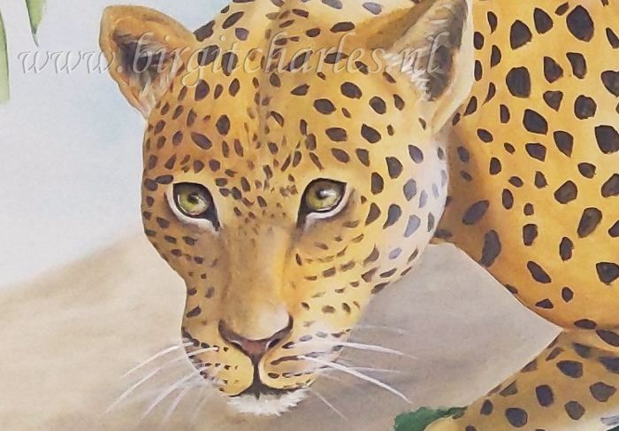 luipaard schildering luipaard schildering