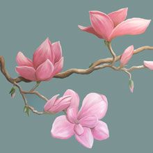 bloementak magnoliatak muurschildering